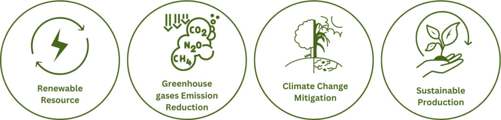 Advantages of Biofuel