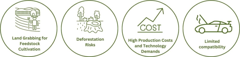 Disadvantages of Biofuels