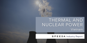 Industry Report: Thermal and Nuclear Power in Vietnam