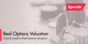 Real Options Valuation Image Banner